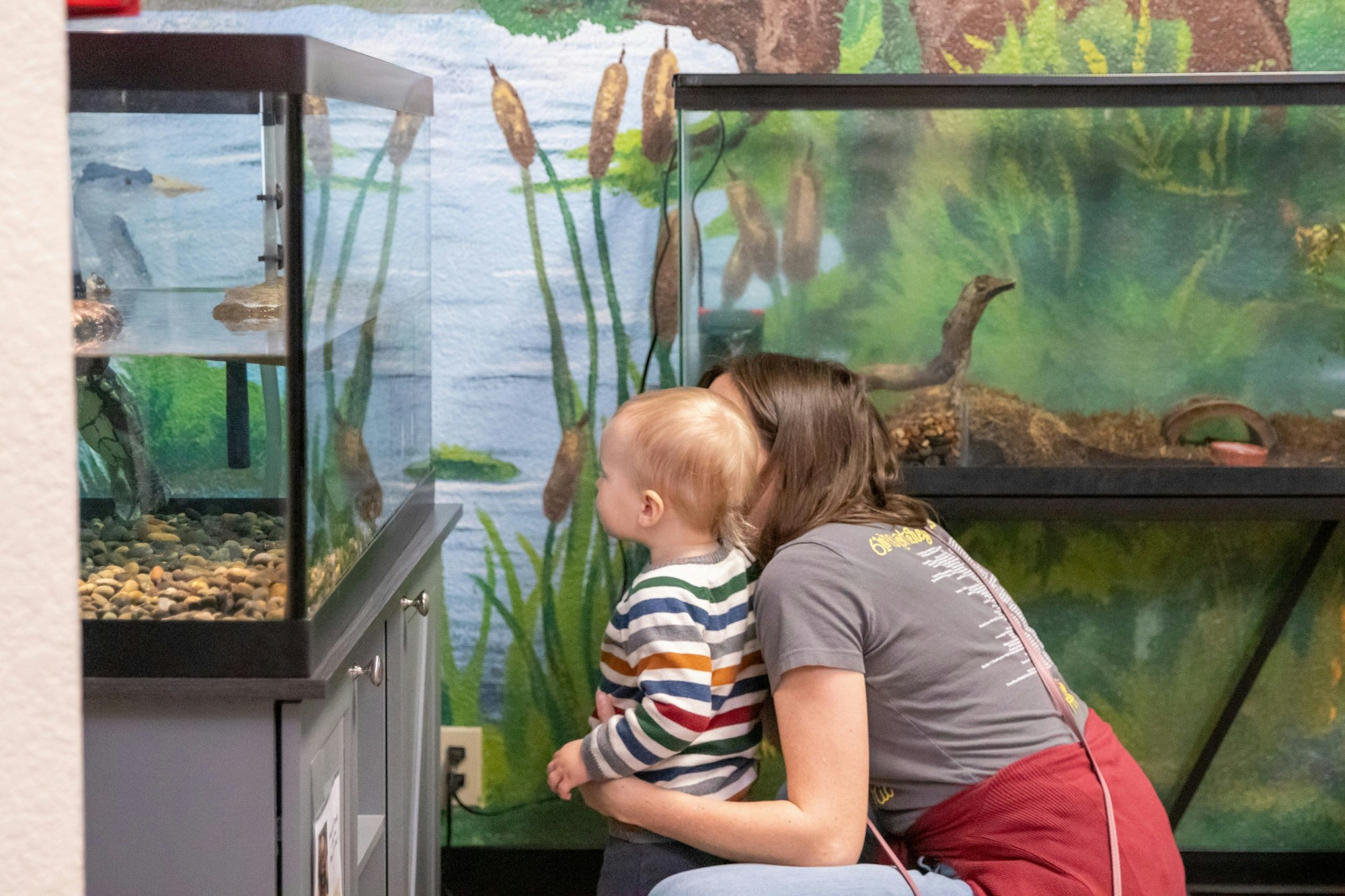A child and adult observe aquatic life in an aquarium, surrounded by a nature-themed mural.