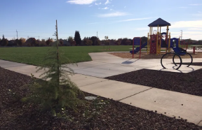 May contain: outdoors, outdoor play area, and play area