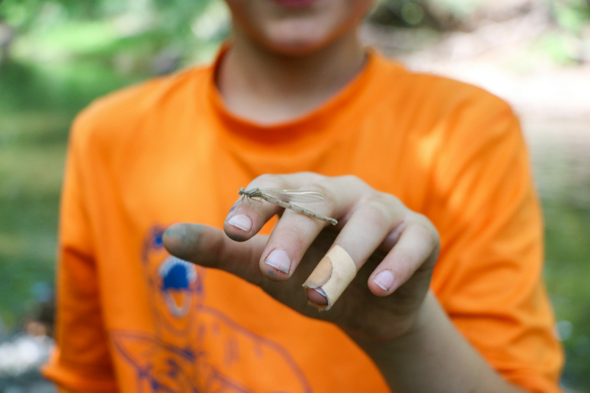 A person in an orange shirt holding an insect on their finger with a band-aid.