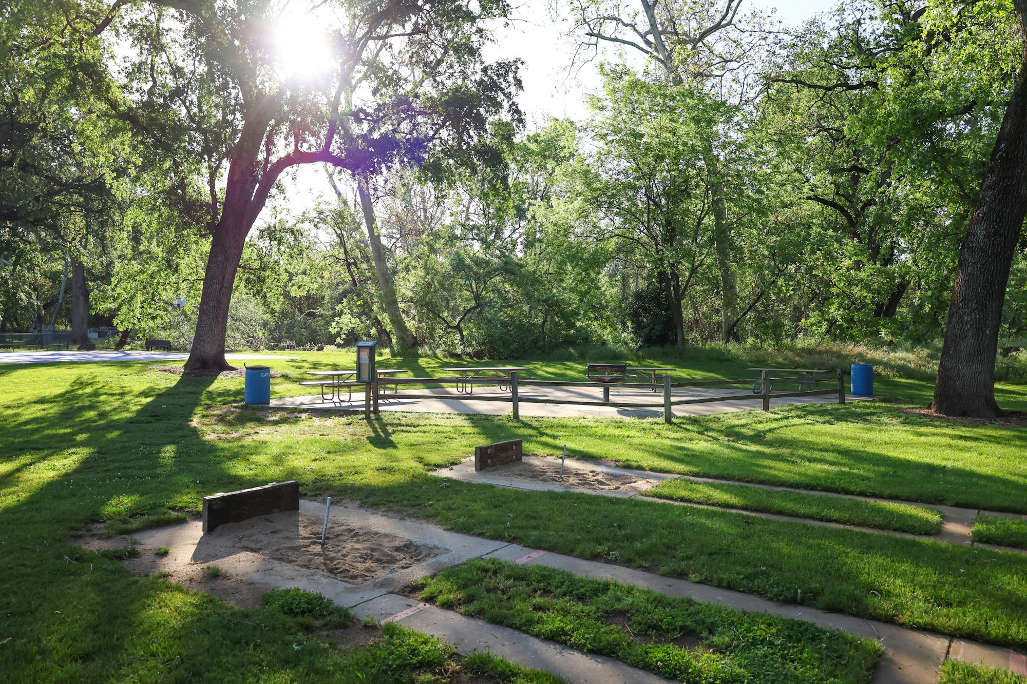 May contain: grass, nature, outdoors, park, plant, tree, grove, land, vegetation, woodland, bench, furniture, scenery, tree trunk, sunlight, and garden