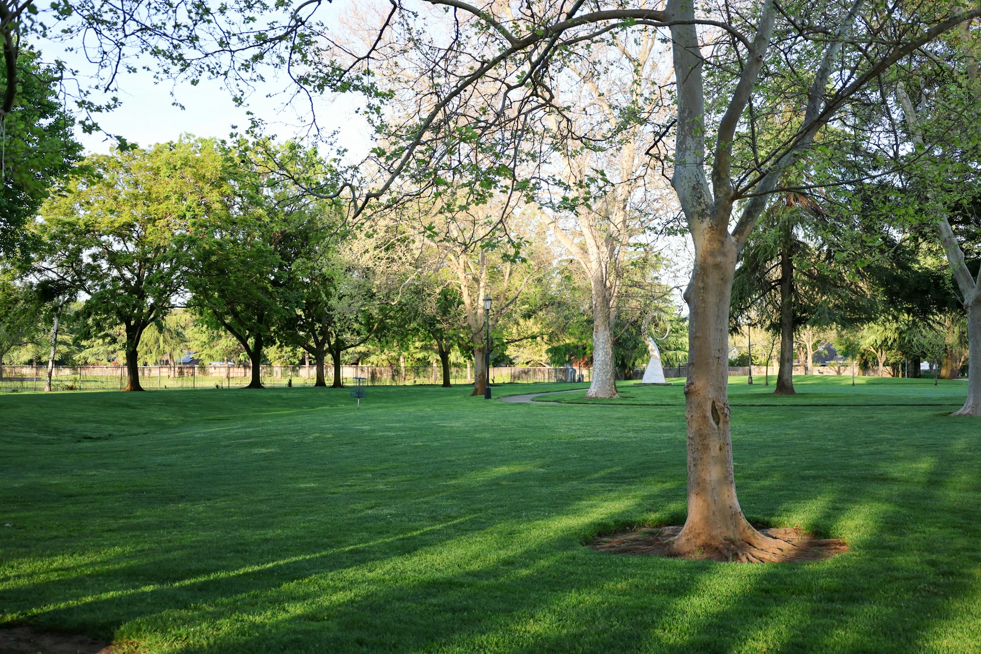 A lush green park with trees and a clear sky.
