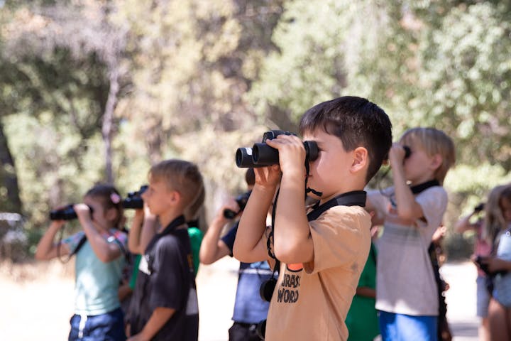 Group of children birdwatching with binoculars outdoors.