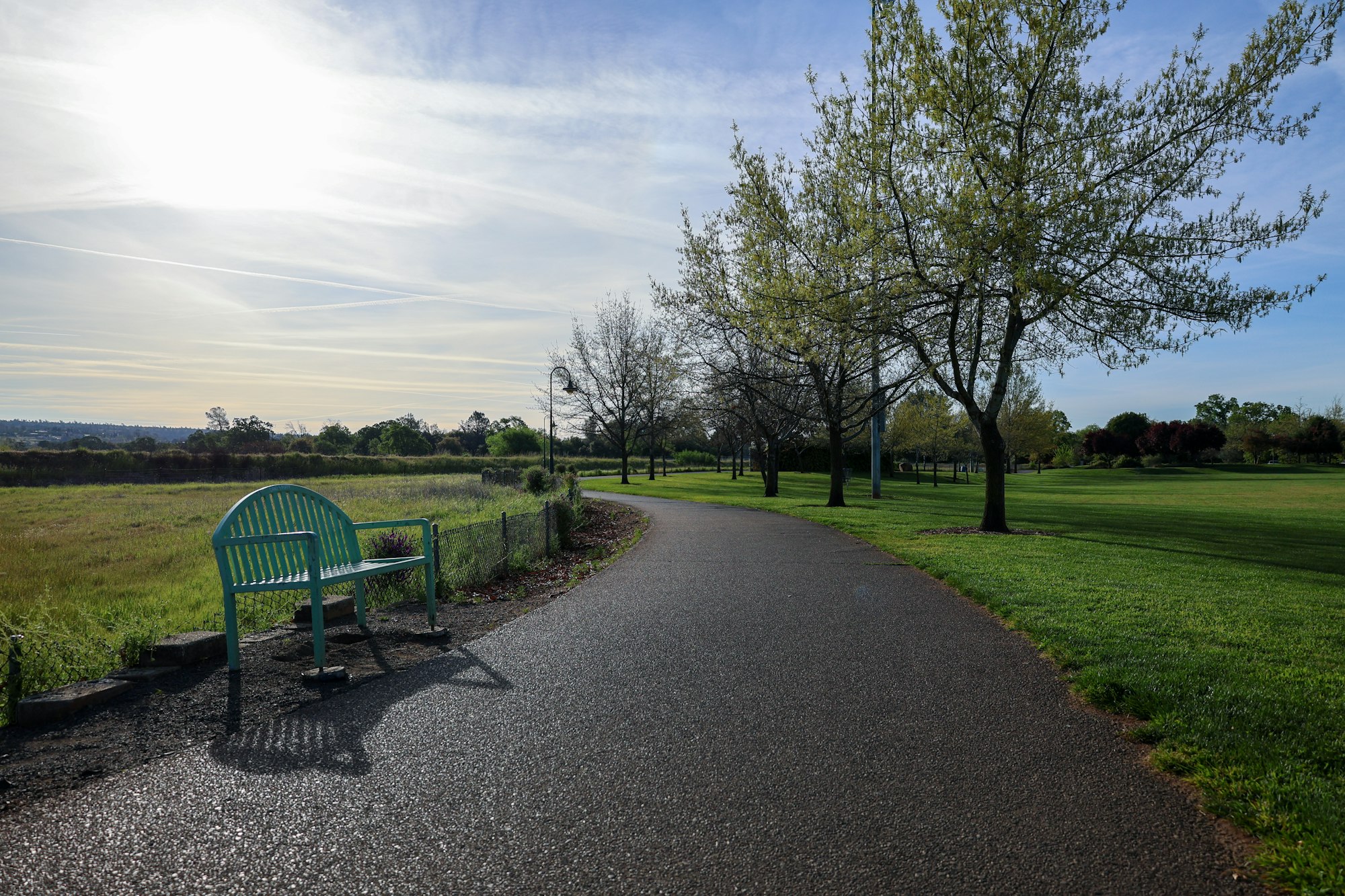 Sunny park scene with pathway, green bench, trees, grass, and clear sky.