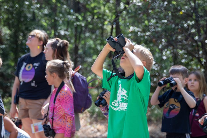 People, mostly children, observing with binoculars in a forest setting.