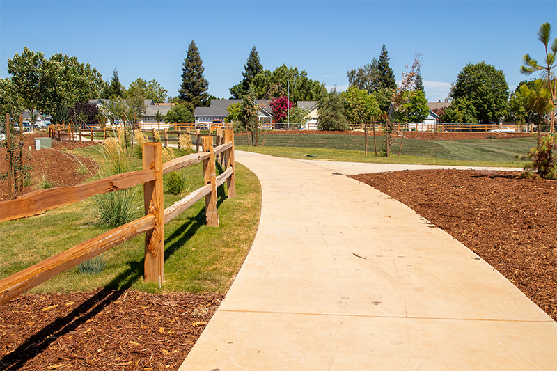 May contain: grass, plant, tree, and path