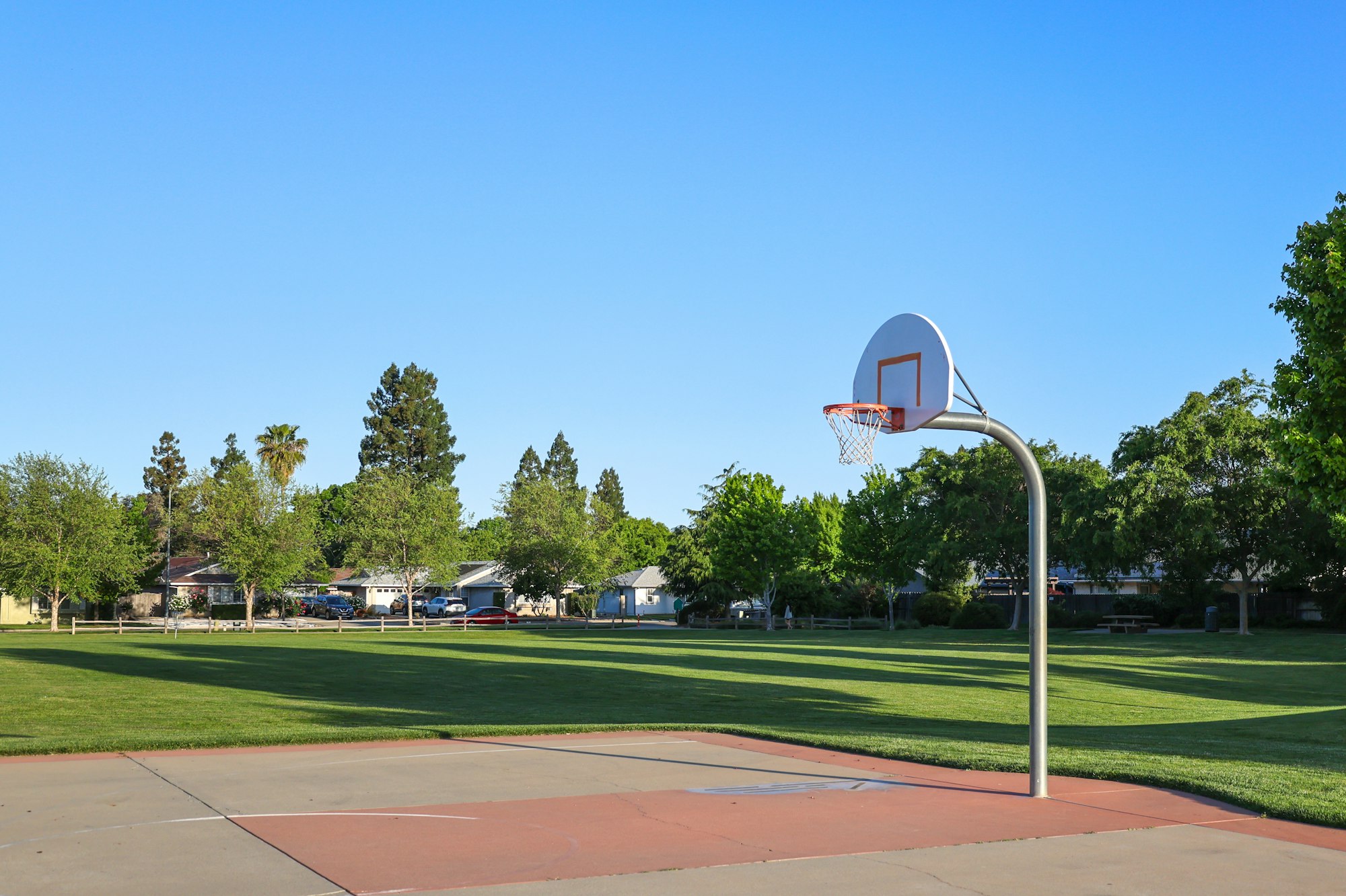 A basketball hoop in a sunny park with trees and houses in the background.