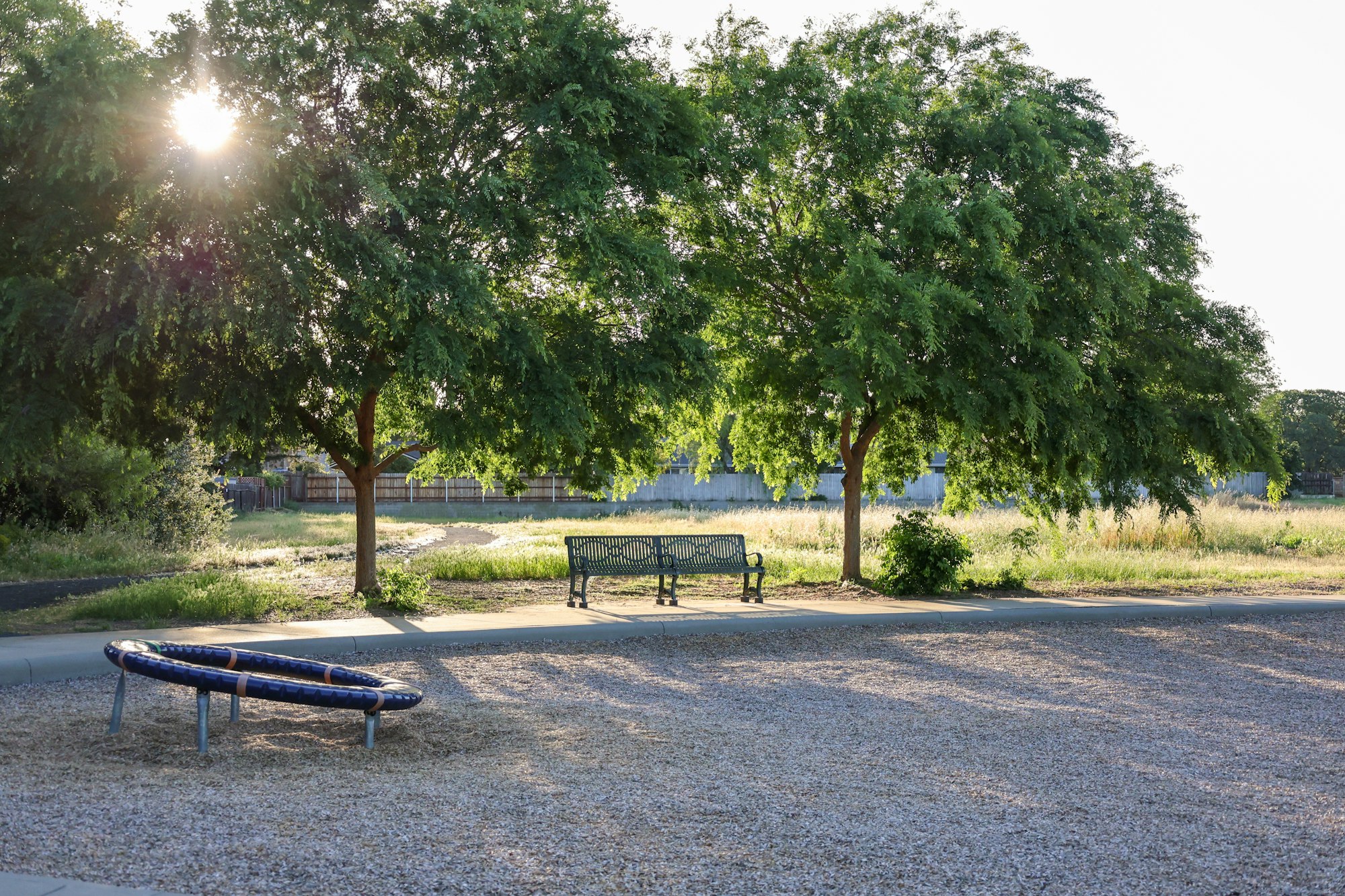 A serene park scene with trees, a bench, and sunlight peeking through the foliage.