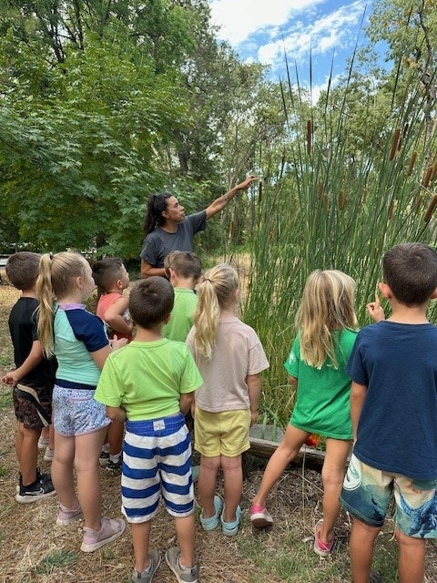 A group of children and an adult are observing tall plants or reeds in an outdoor setting.