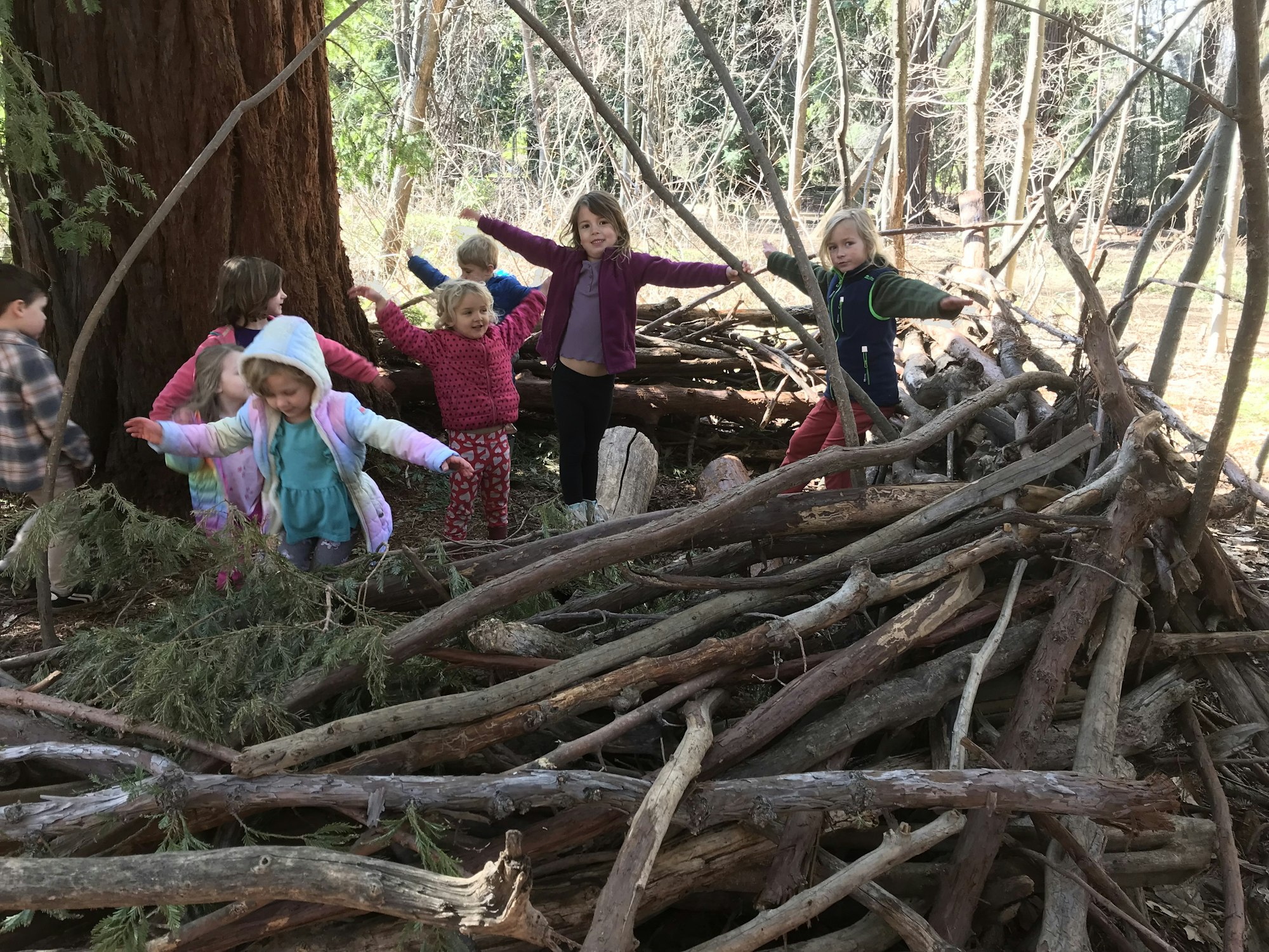 Children playing on a structure made of sticks and branches in a forest setting.