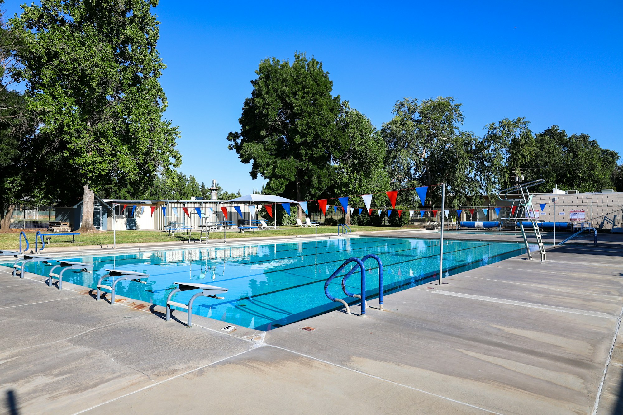 Outdoor swimming pool with diving board, lane dividers, and colorful flags, surrounded by trees and open sky.