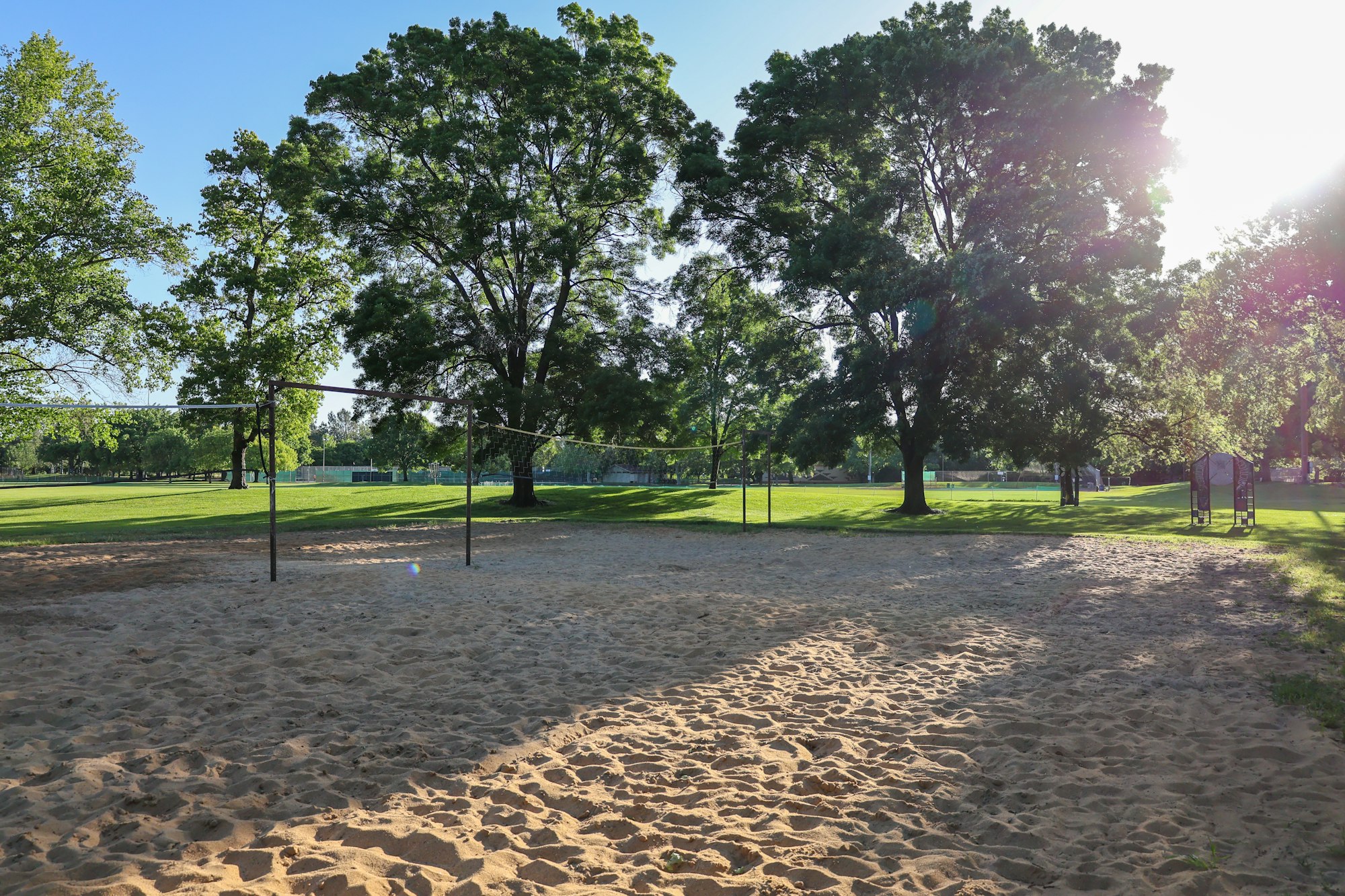 May contain: grass, nature, outdoors, park, plant, tree, ground, field, and tree trunk