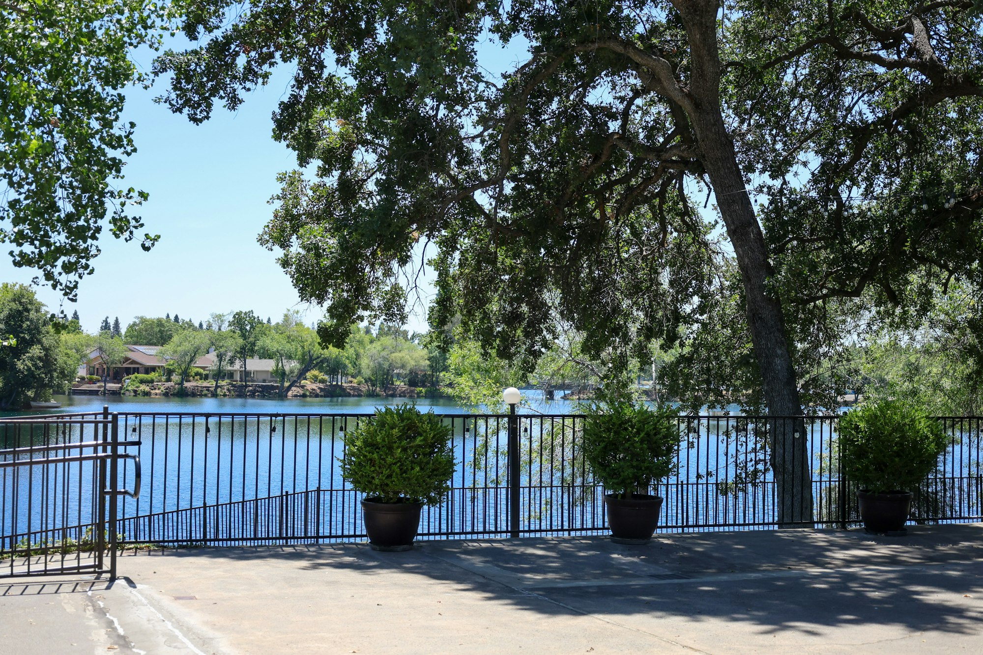 Tree-shaded lakeside view with potted plants, metal fence, and distant houses across the water.