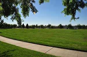 May contain: plant, grass, path, park, lawn, outdoors, panoramic, scenery, landscape, and nature