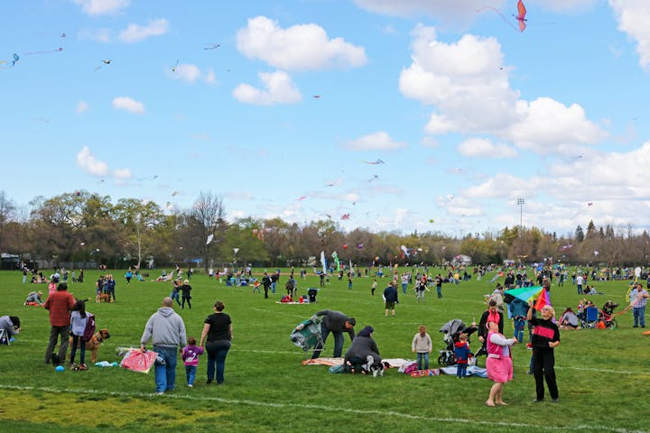 A colorful kite festival in a park with people flying kites and enjoying the outdoors.