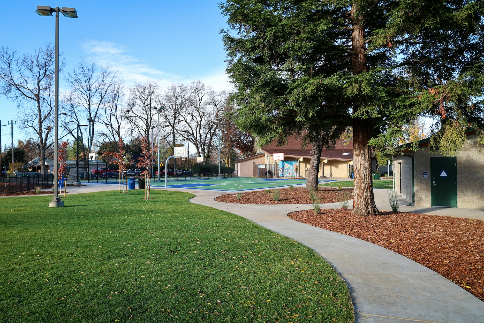 May contain: grass, plant, nature, outdoors, park, path, sidewalk, tree, walkway, car, transportation, vehicle, play area, and lawn