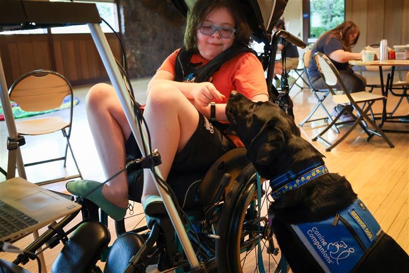 A person in a wheelchair interacts with a service dog indoors.