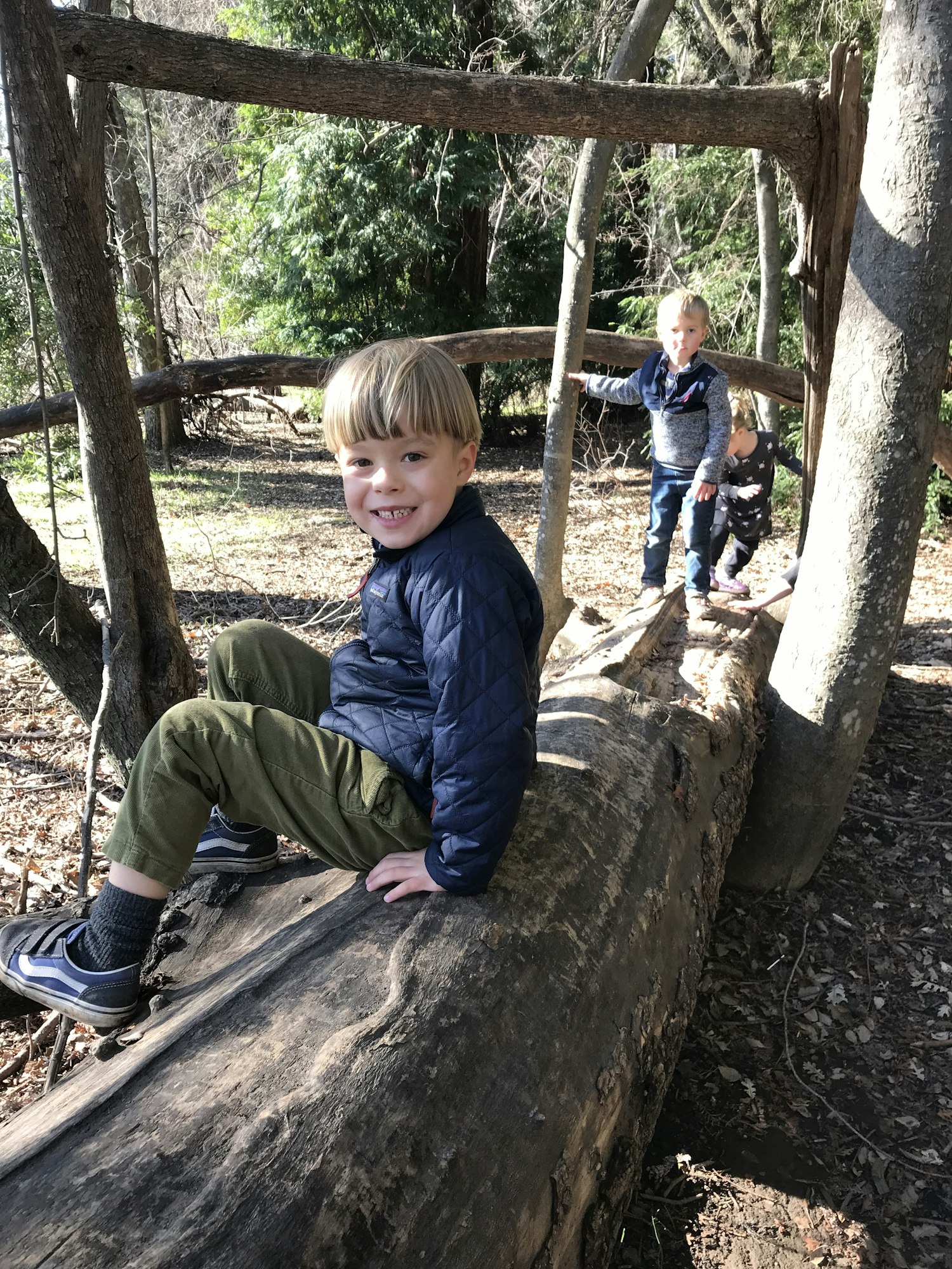 Children playing on a large fallen log in a forested area.
