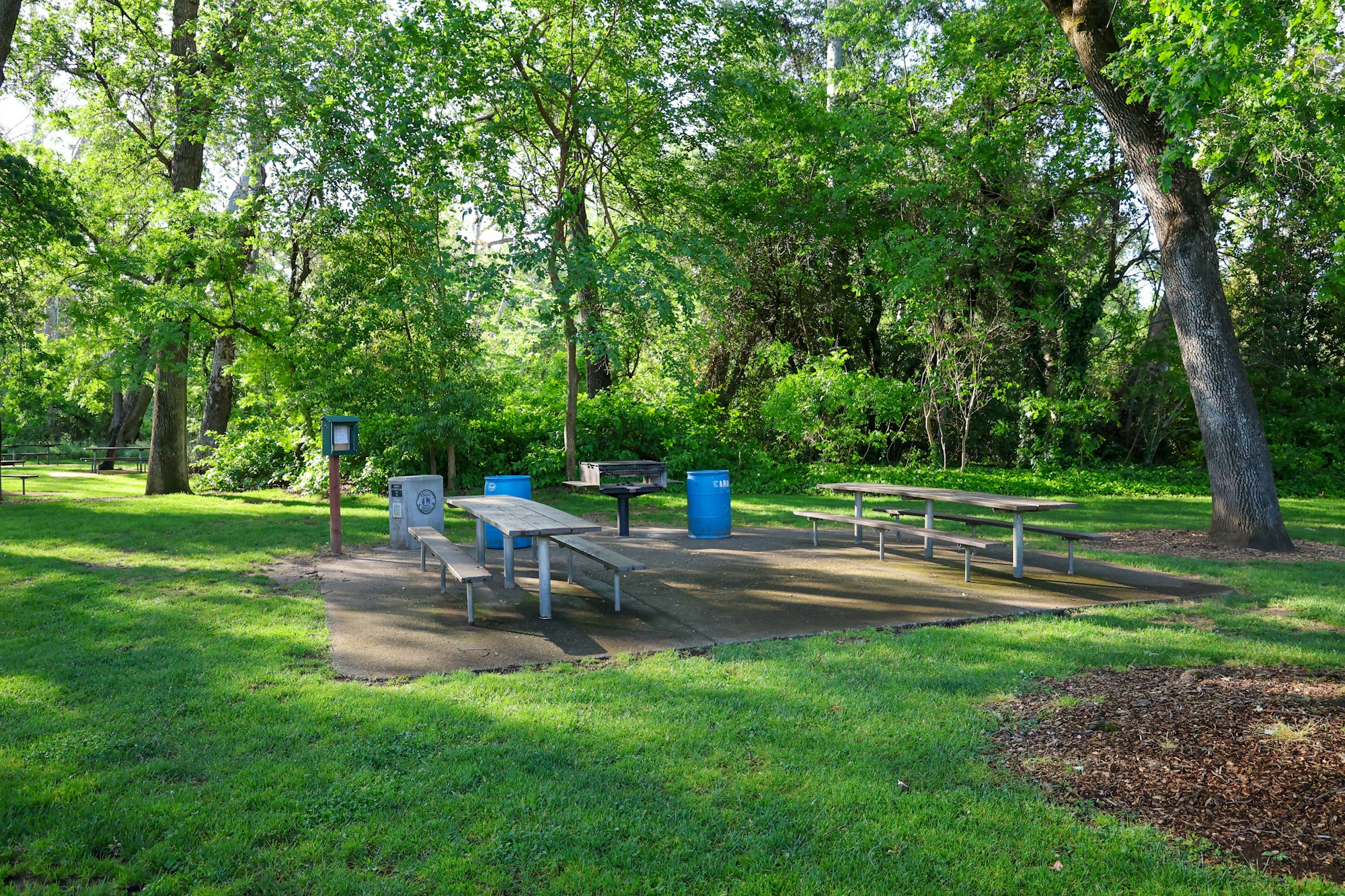 May contain: grass, nature, outdoors, park, plant, scenery, bench, furniture, desk, table, tree, vegetation, grove, land, and woodland