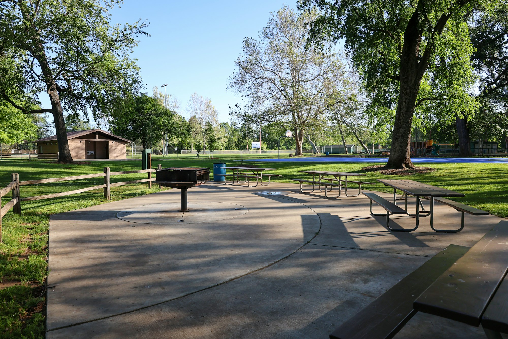 May contain: grass, nature, outdoors, park, plant, scenery, desk, furniture, table, bench, and tree