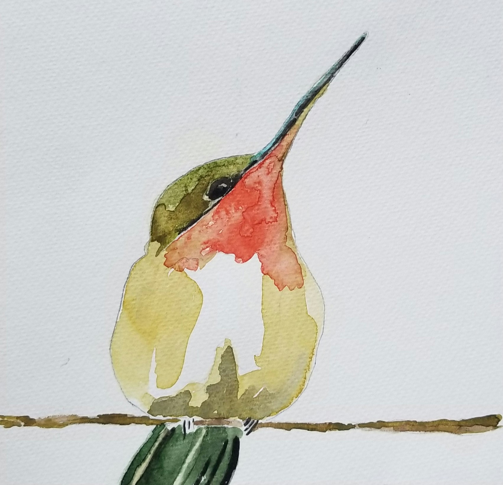 Watercolor painting of a small bird with a red throat, perched on a branch.