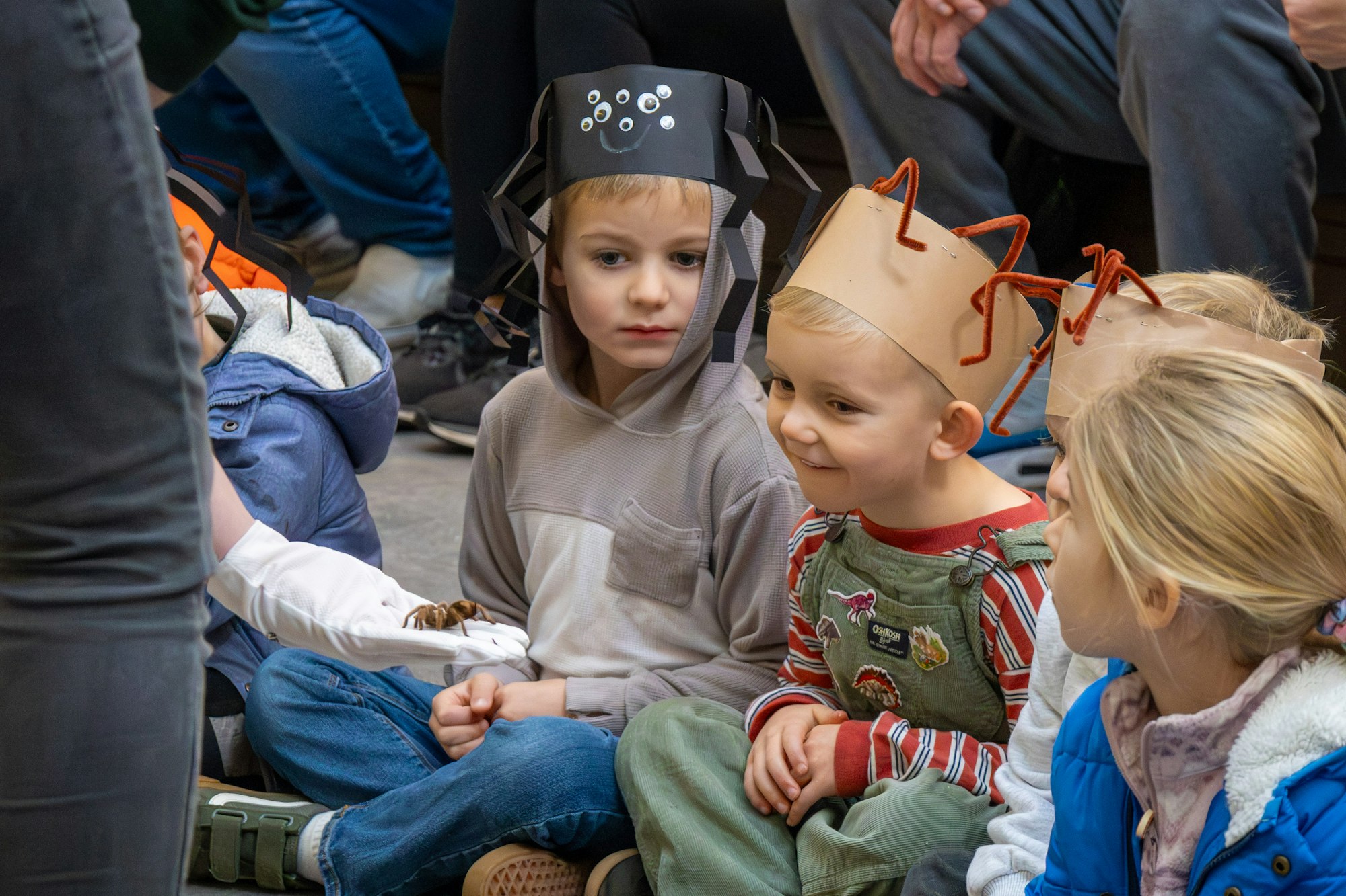 Children are sitting in a circle wearing fun hats, eagerly watching a demonstration with a person holding an animal.