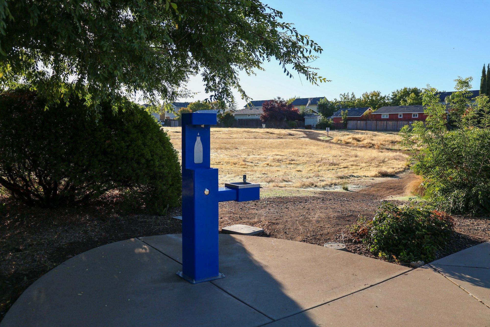 A blue drinking fountain outdoors near trees and a grassy field under a clear sky.
