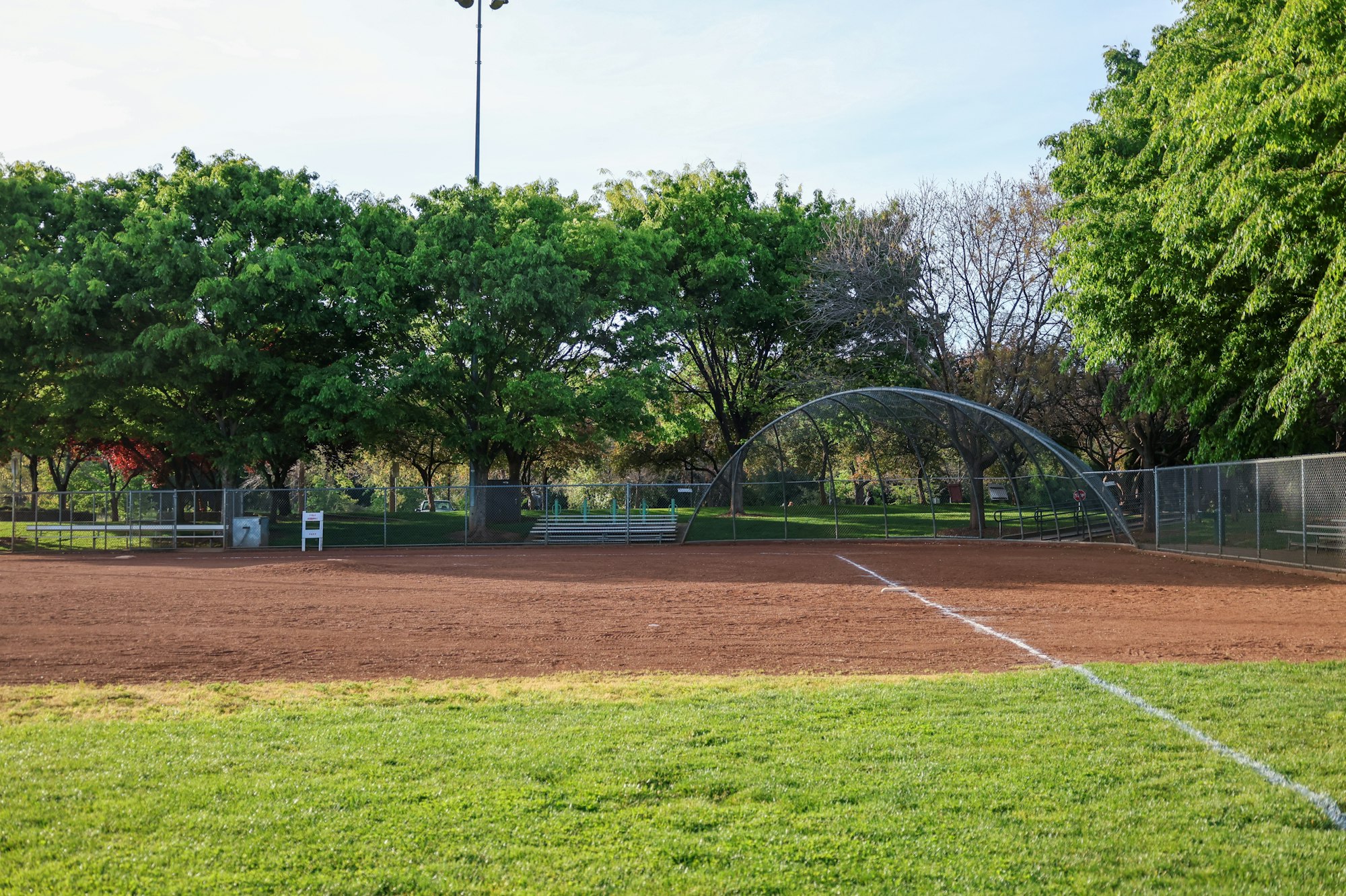 Empty baseball field with green grass, red dirt, and trees under a clear sky.