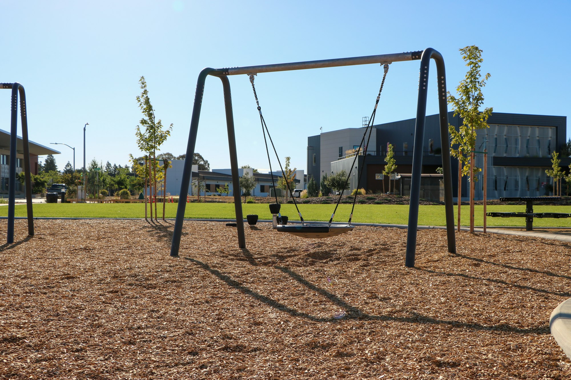 Playground with swings, mulch ground, sunny day, with buildings and trees in the background.