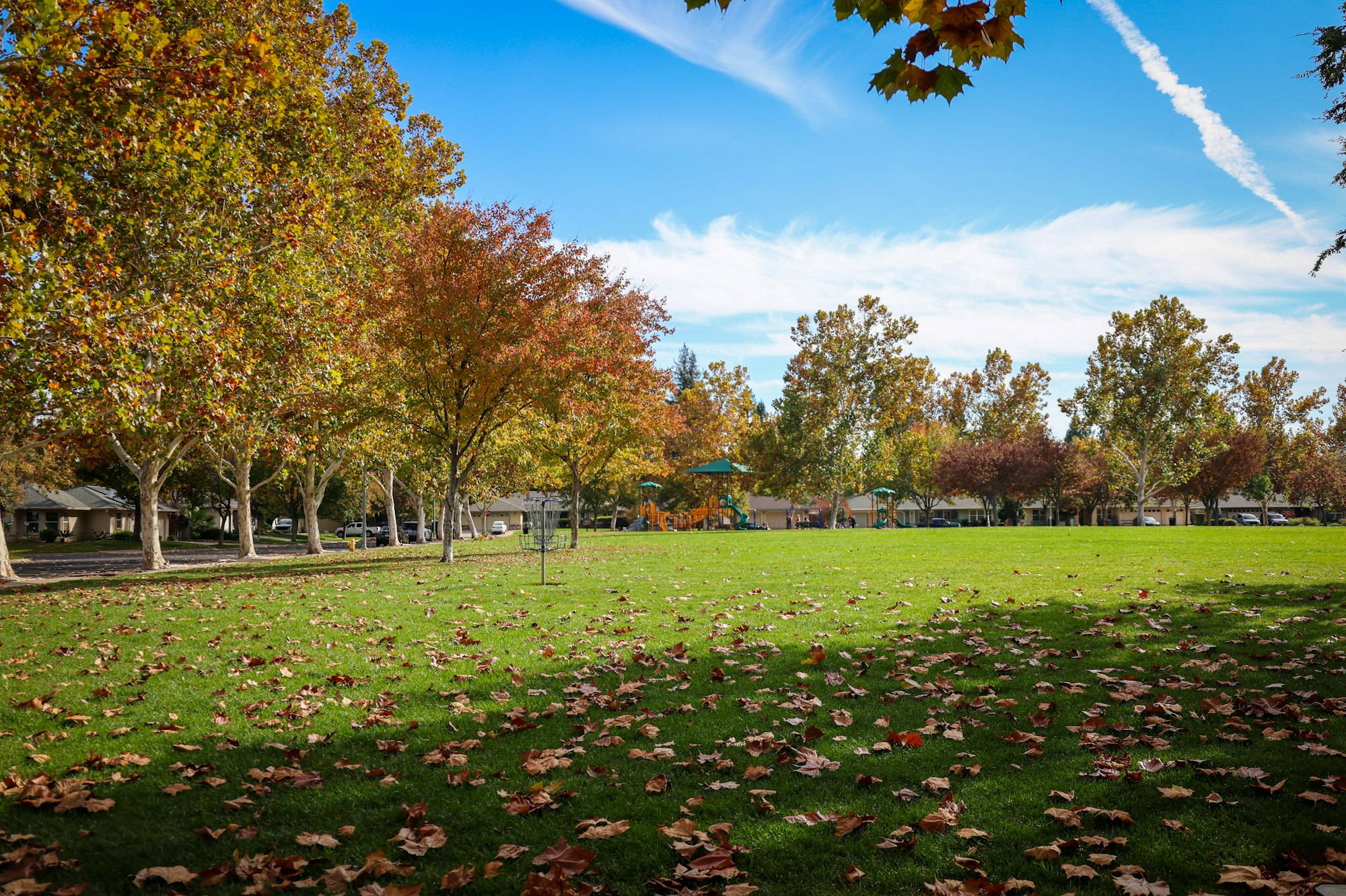 A vibrant park with colorful autumn trees, a grassy area, scattered fallen leaves, and a playground in the background.