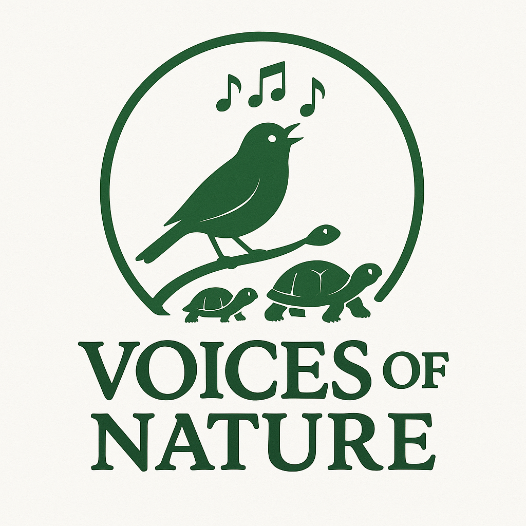 A bird singing with musical notes, two turtles, and the text "Voices of Nature."