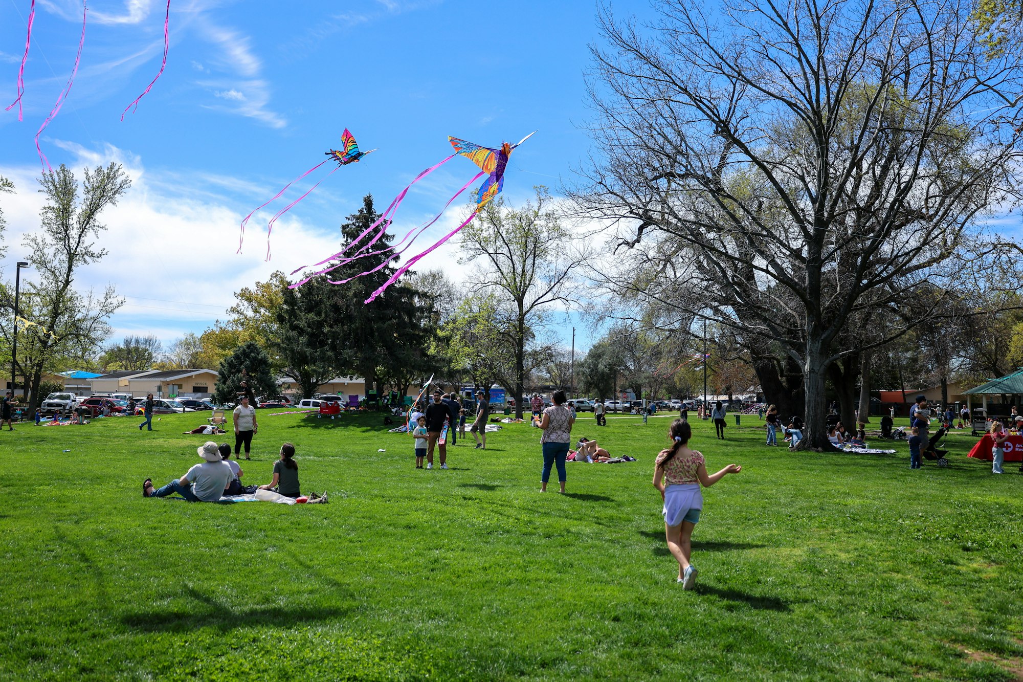 People flying colorful kites in a sunny park, with others relaxing on the grass below.