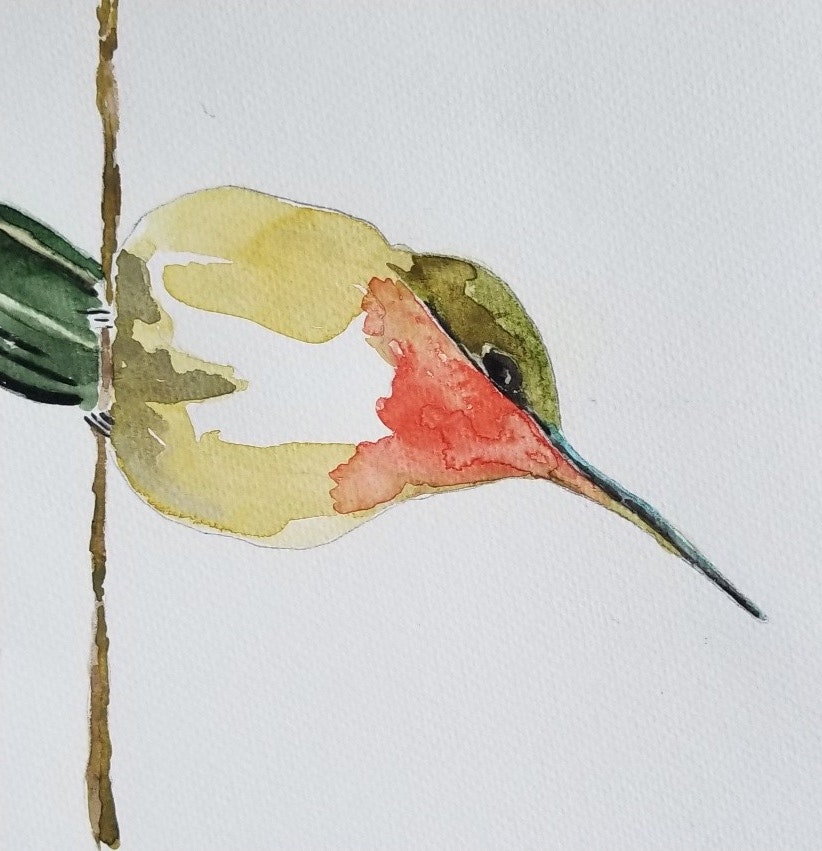 The image features a watercolor painting of a colorful bird perched on a branch, showcasing vibrant greens and reds.