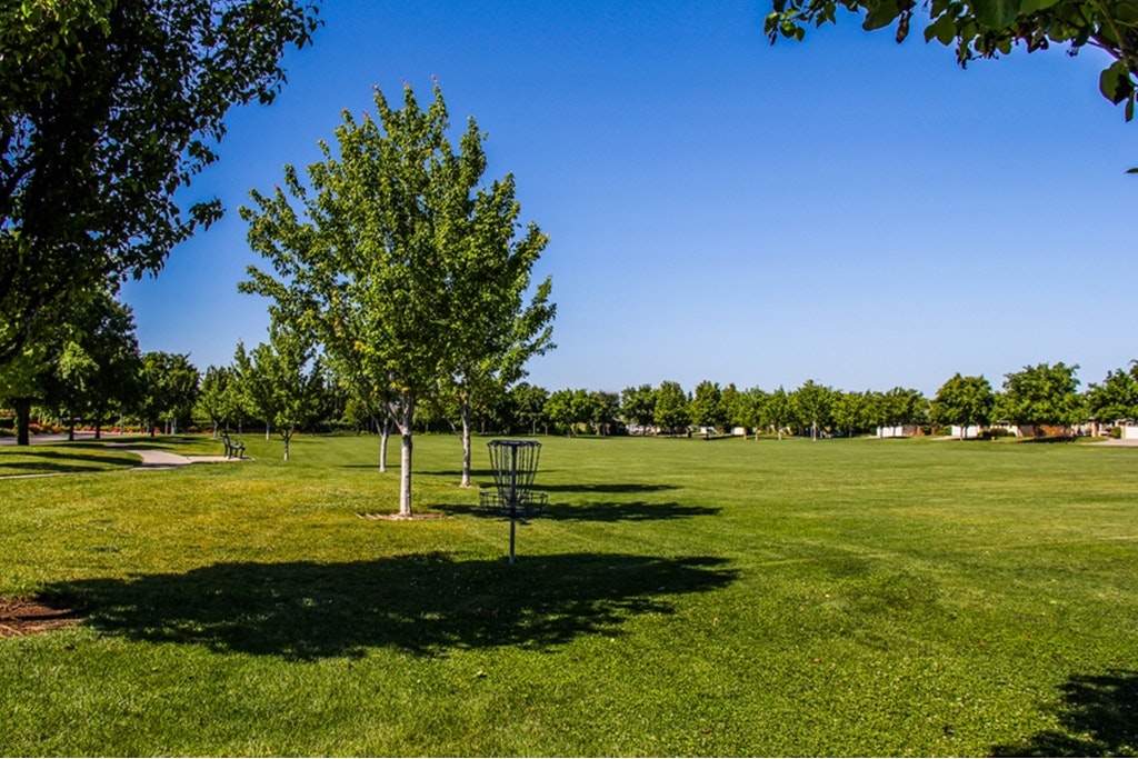 A sunny park with lush green grass, trees, a disc golf basket, and benches.