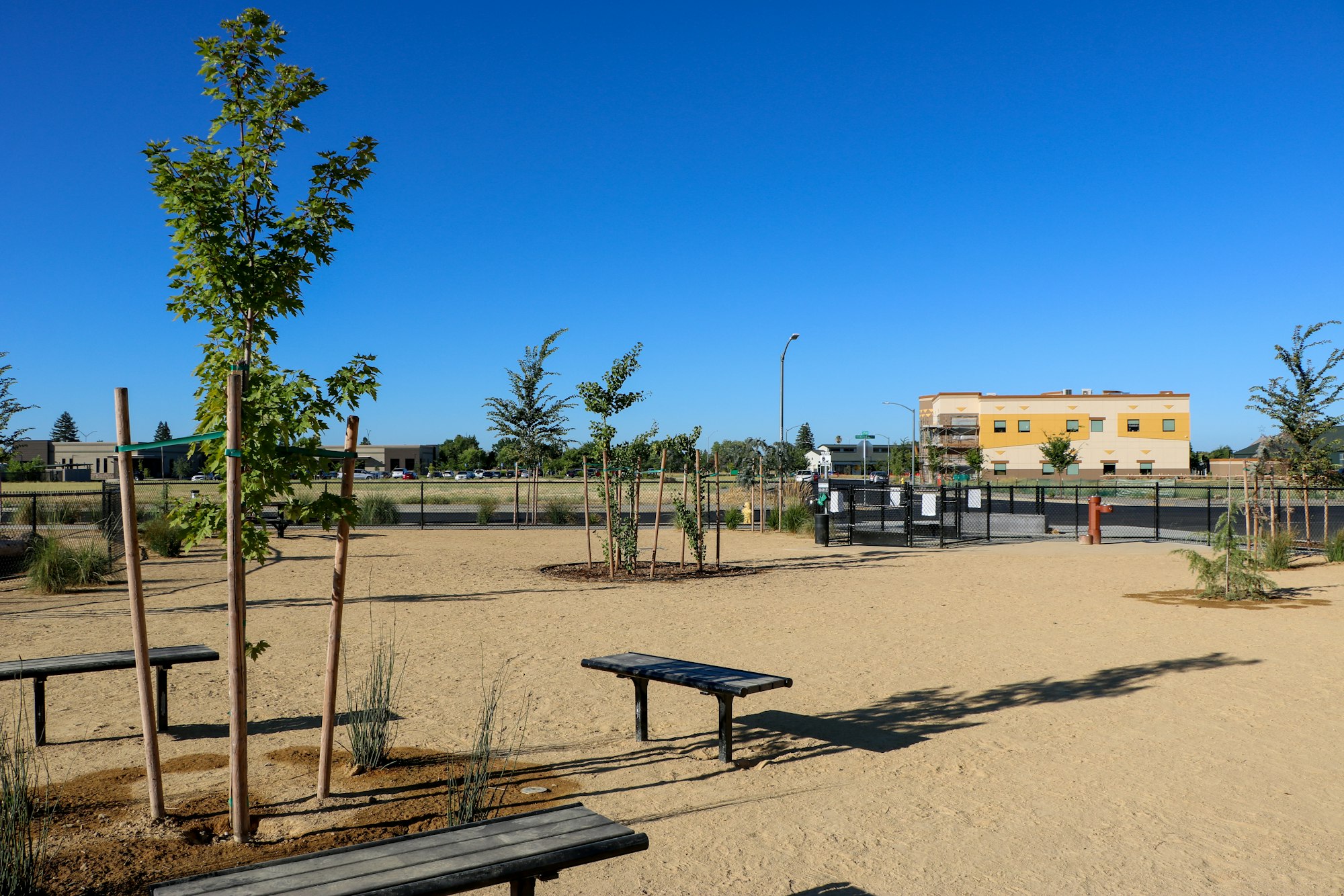 Open dirt area with young trees, benches, and a fence. Building and clear blue sky in the background.