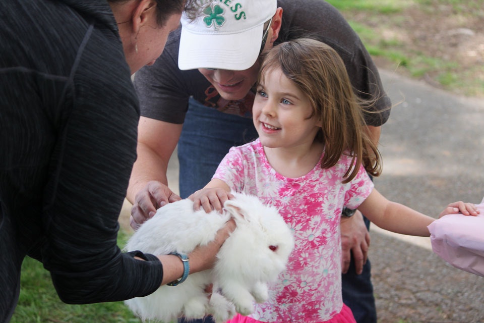 A happy child in a pink shirt pets a fluffy white rabbit, with two adults nearby.