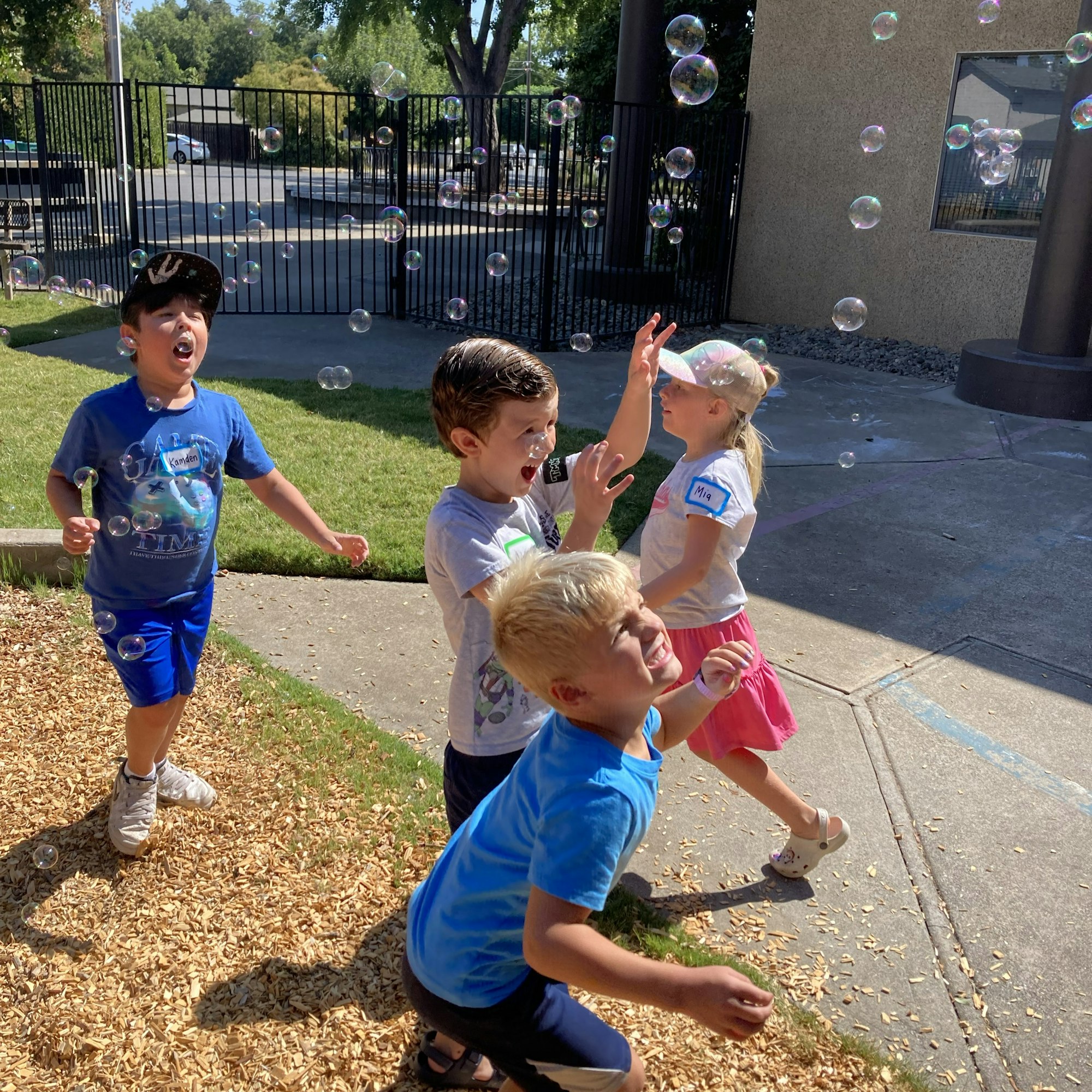 A group of four children joyfully playing and trying to catch bubbles in a sunny outdoor setting.