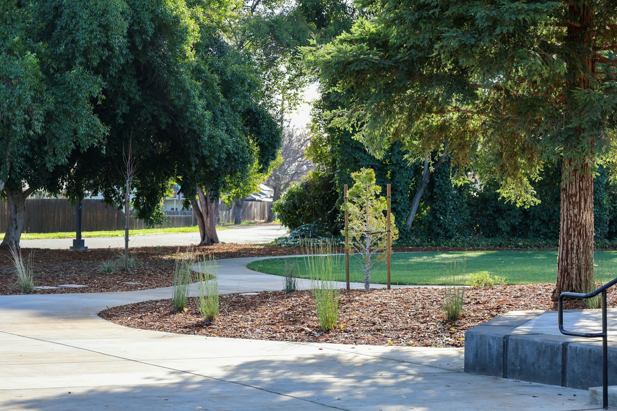 A paved pathway through a park with trees, grass, and landscaped areas.