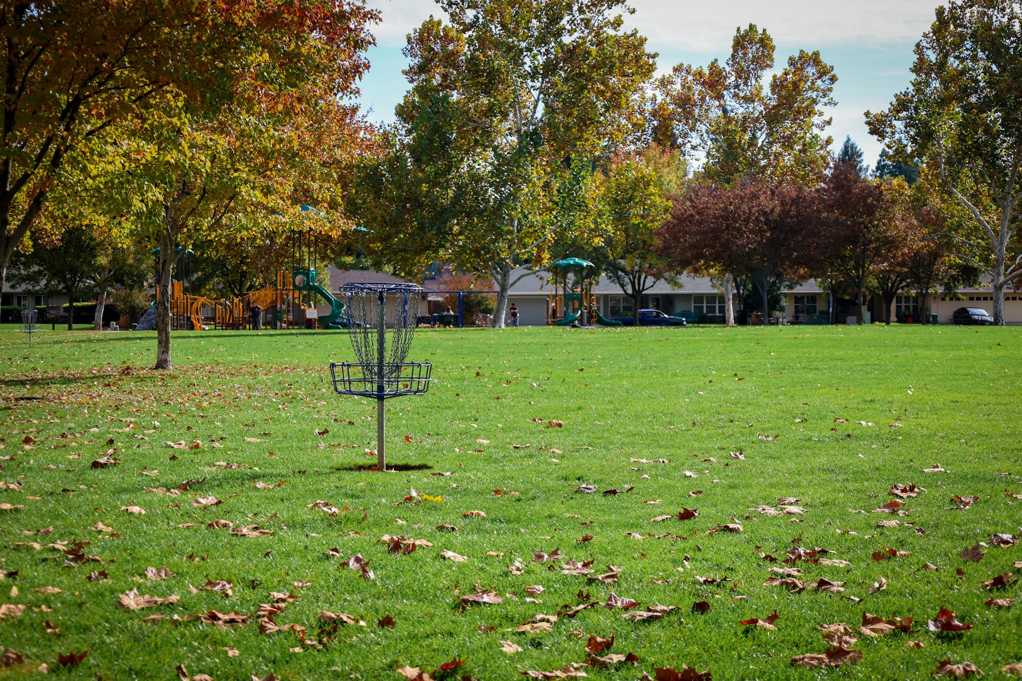 A disc golf basket in a park with colorful autumn leaves and a playground in the background.