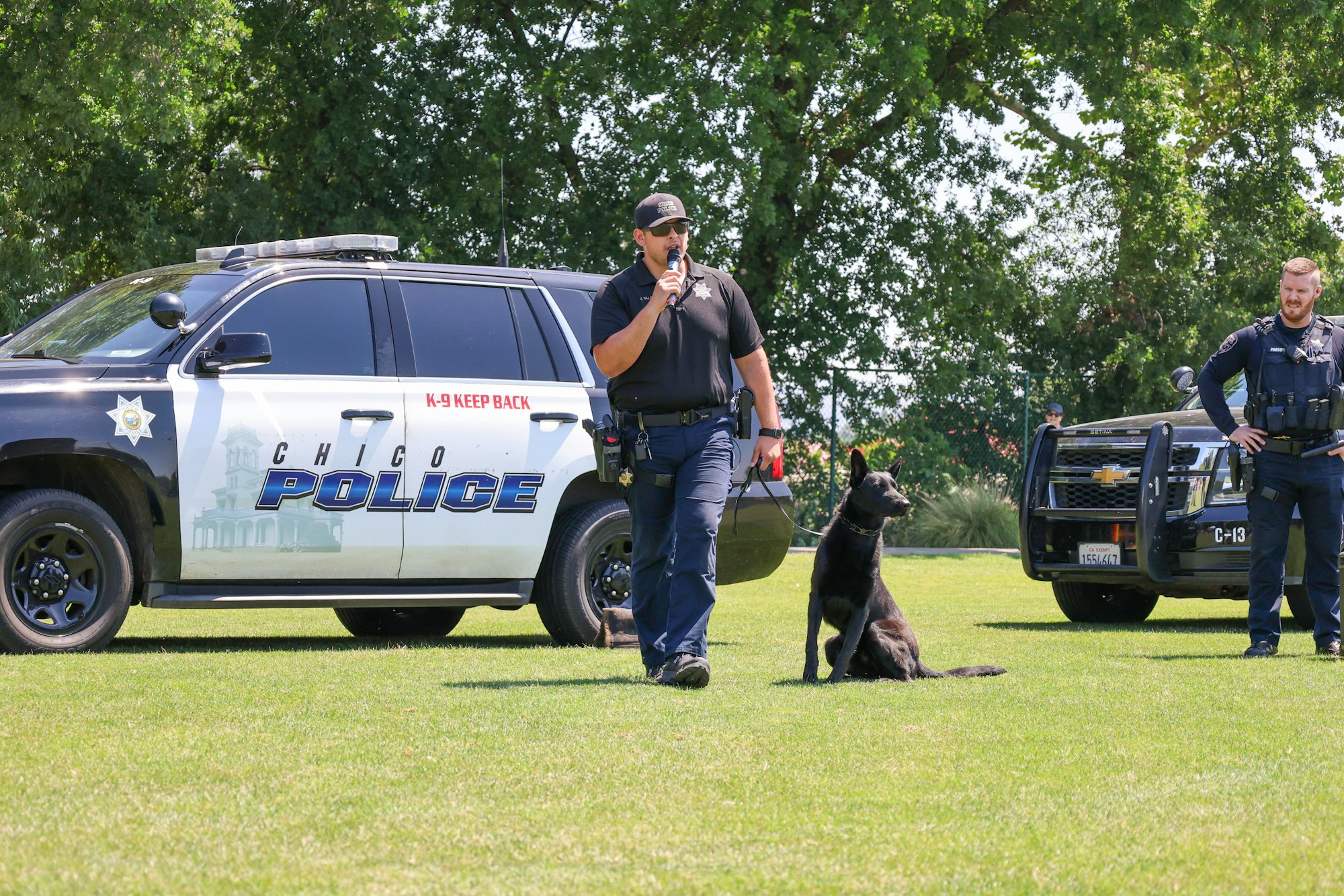 Police officers with a K-9 unit, two vehicles, outdoors on grass, in front of trees.
