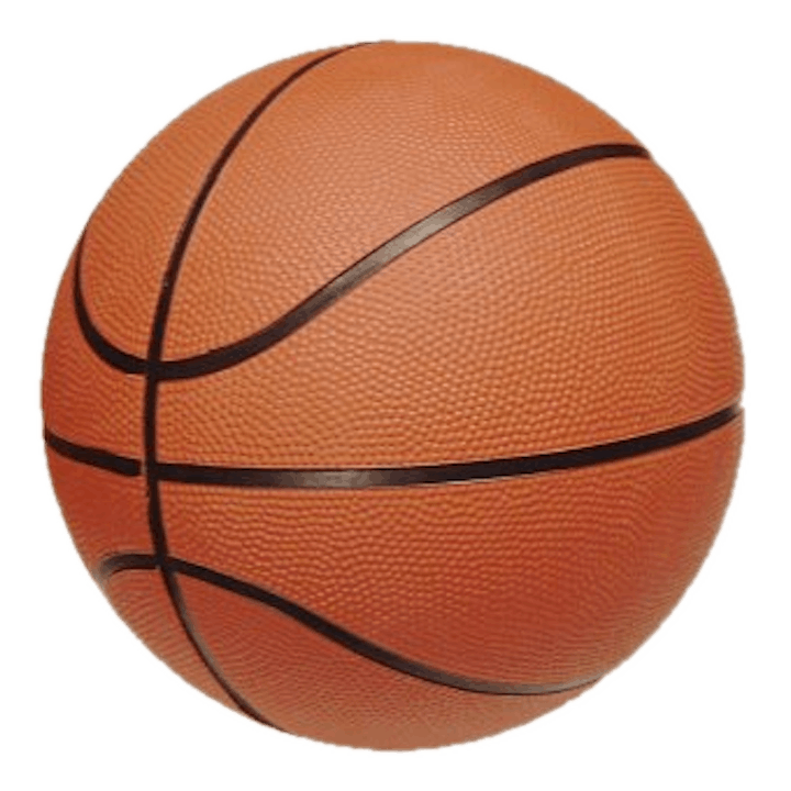 May contain: ball, basketball, basketball (ball), and sport