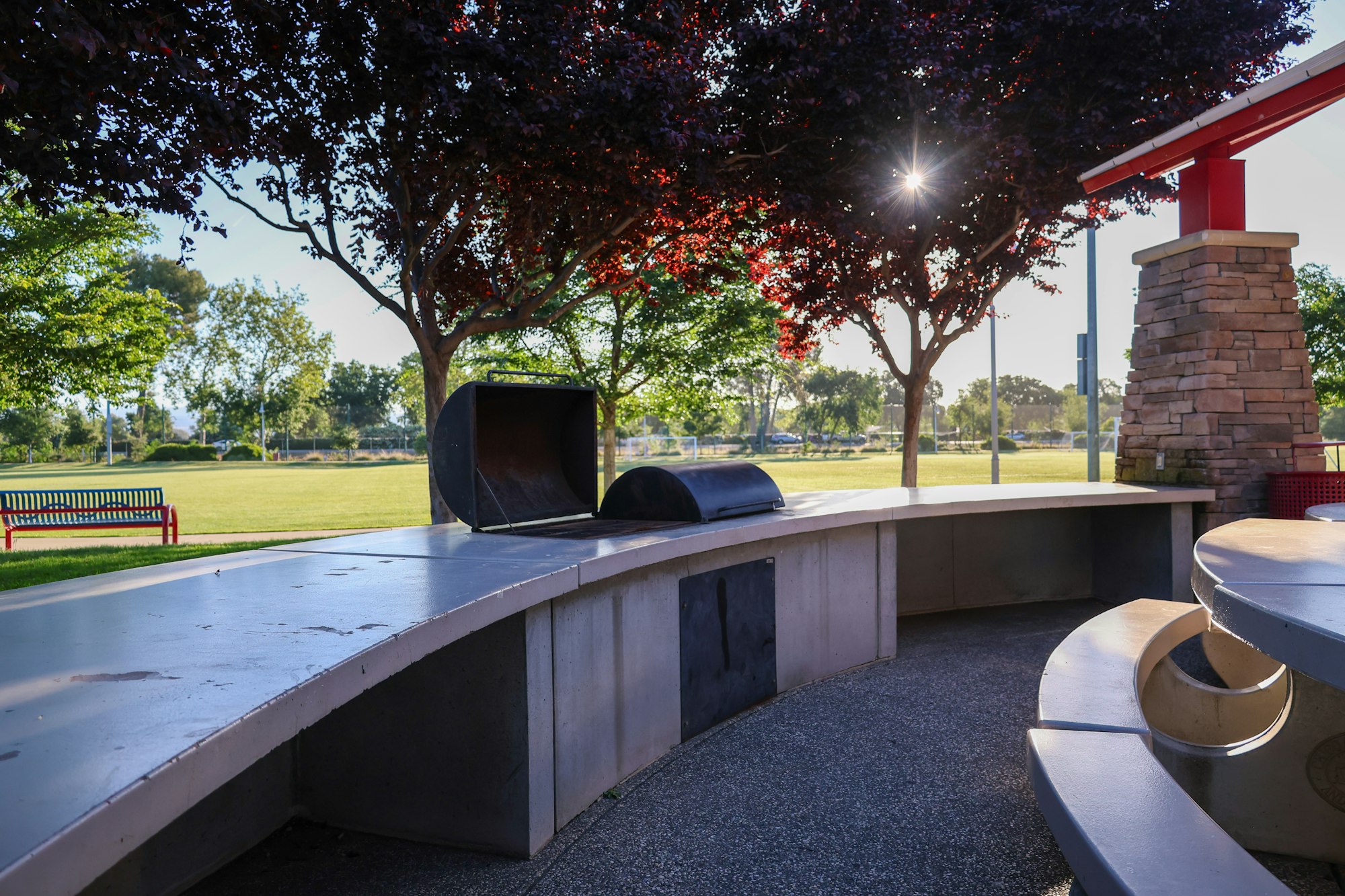 May contain: grass, plant, nature, outdoors, park, plywood, wood, bench, furniture, and tree