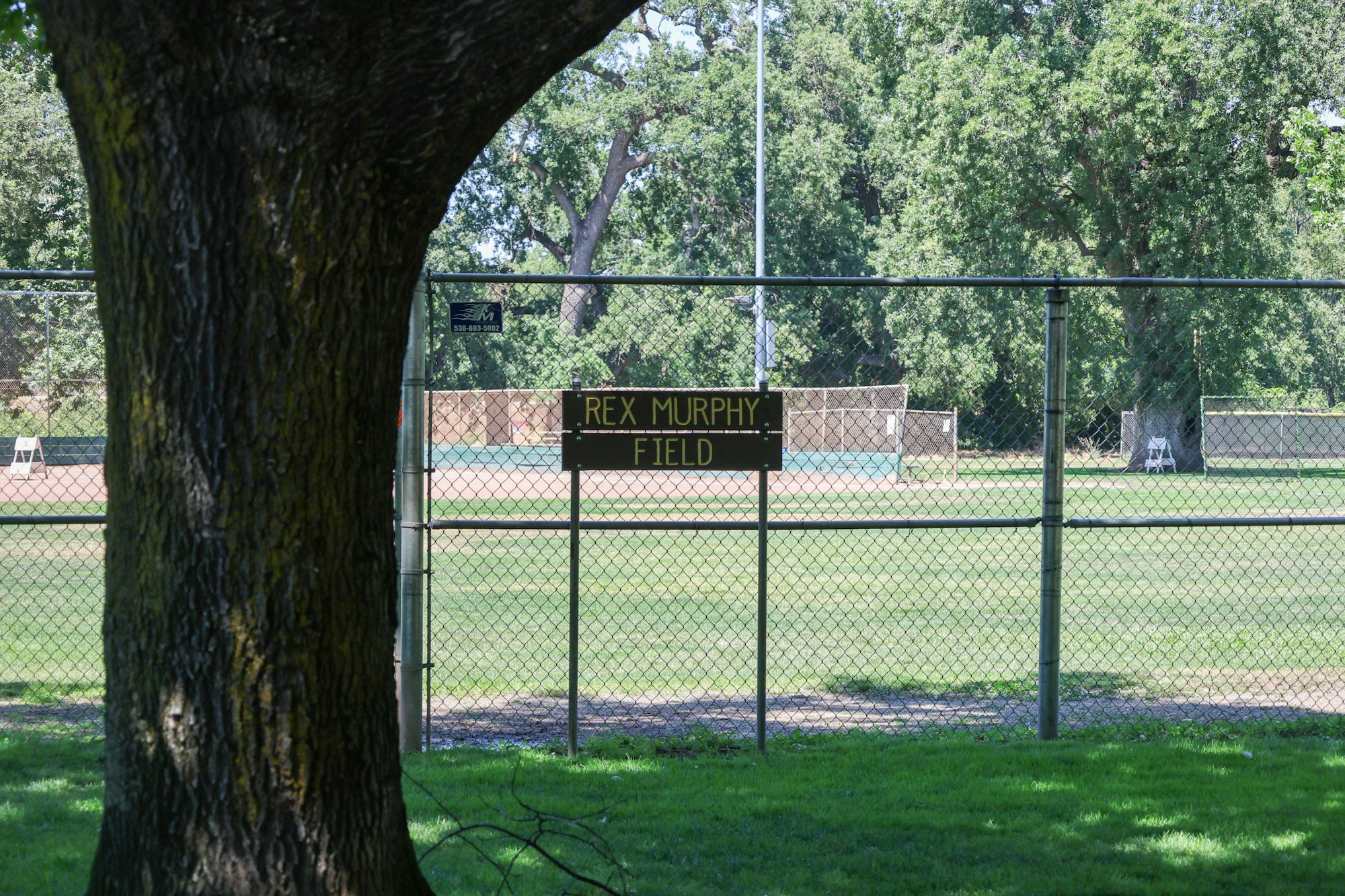 A sports field behind a chain-link fence with a sign reading "Rex Murphy Field" and trees in the background.