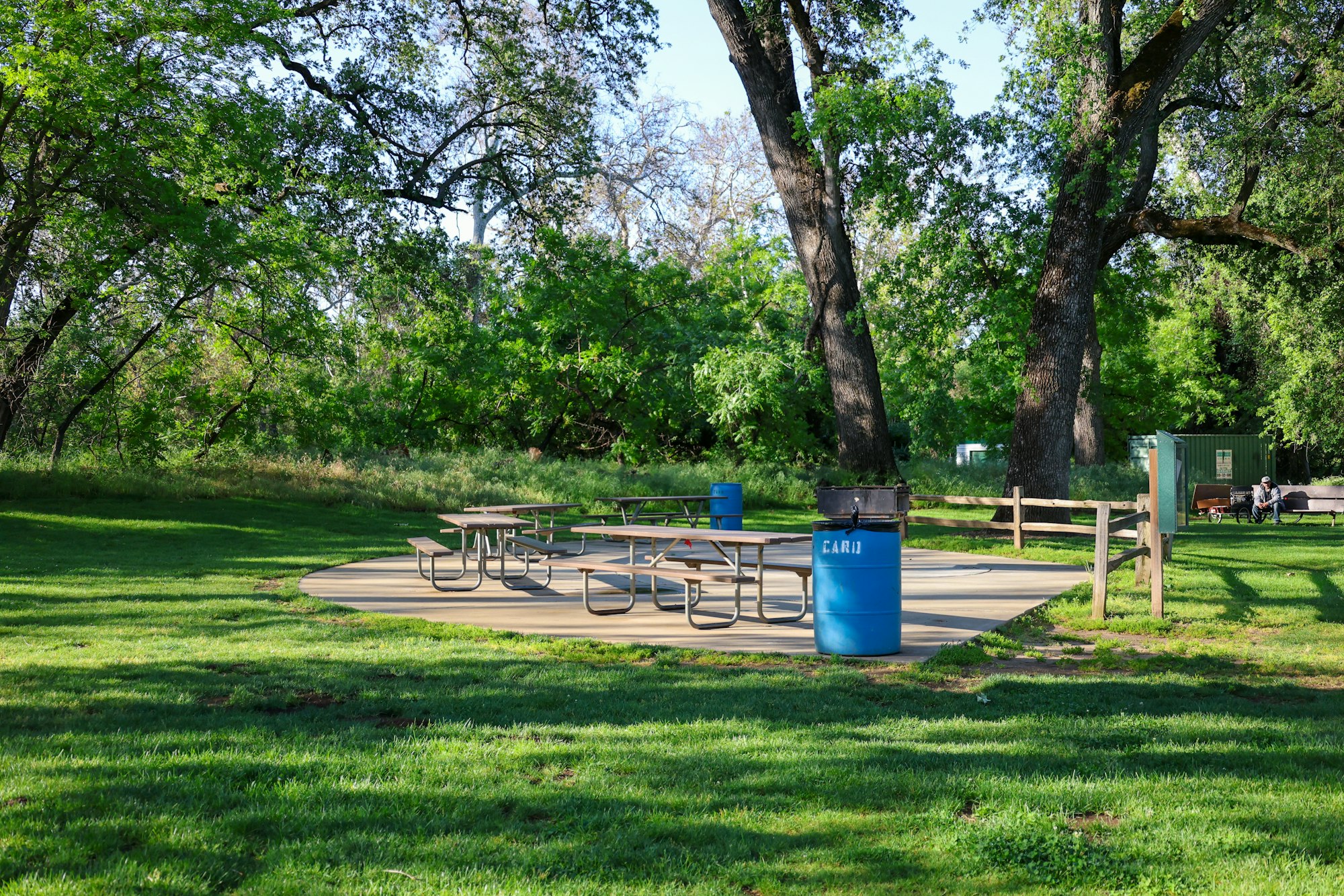 A serene park scene with picnic tables, large trees, a blue trash bin, and a person sitting in the distance.