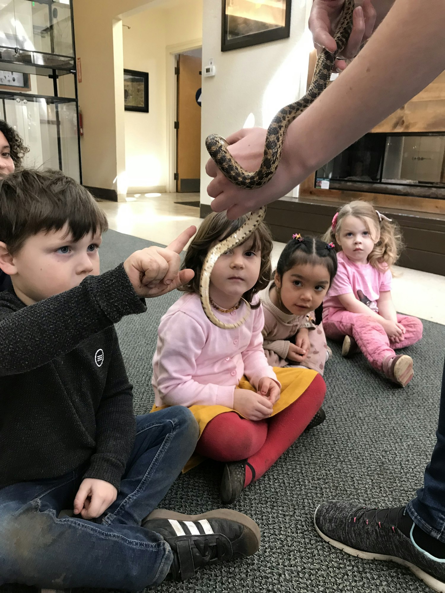 A group of children sitting on the floor observing a person holding a snake.