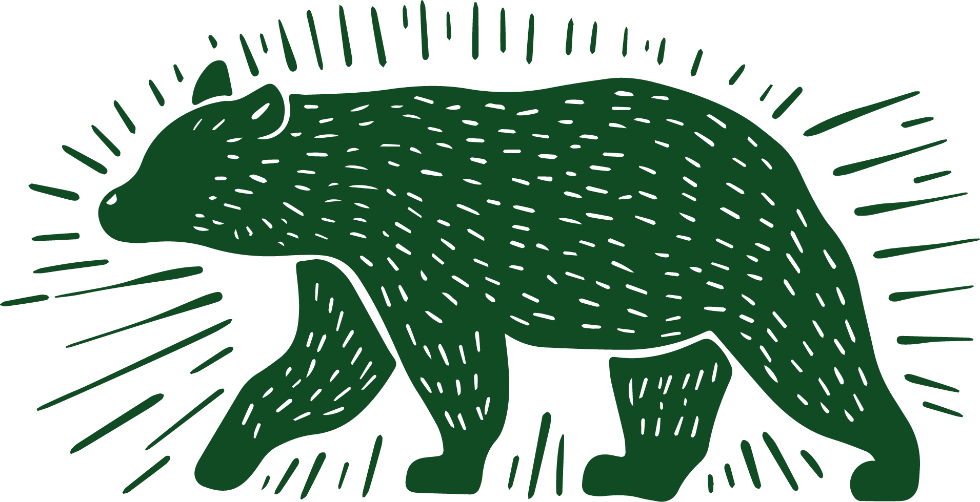 Stylized illustration of a bear with textured fur and radiating lines.