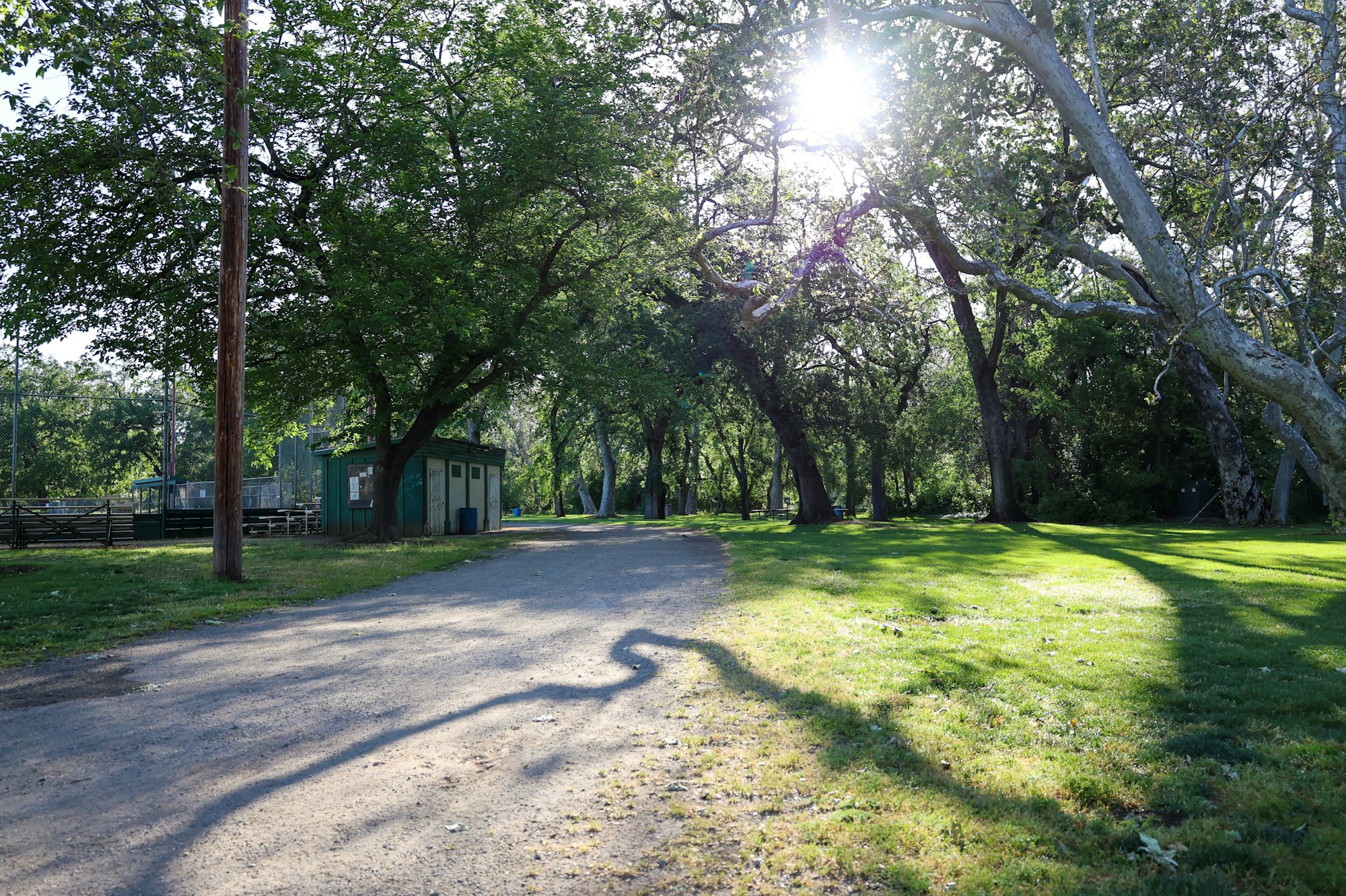 Sunlit park with trees, grass, a dirt path, and a small building in the background.