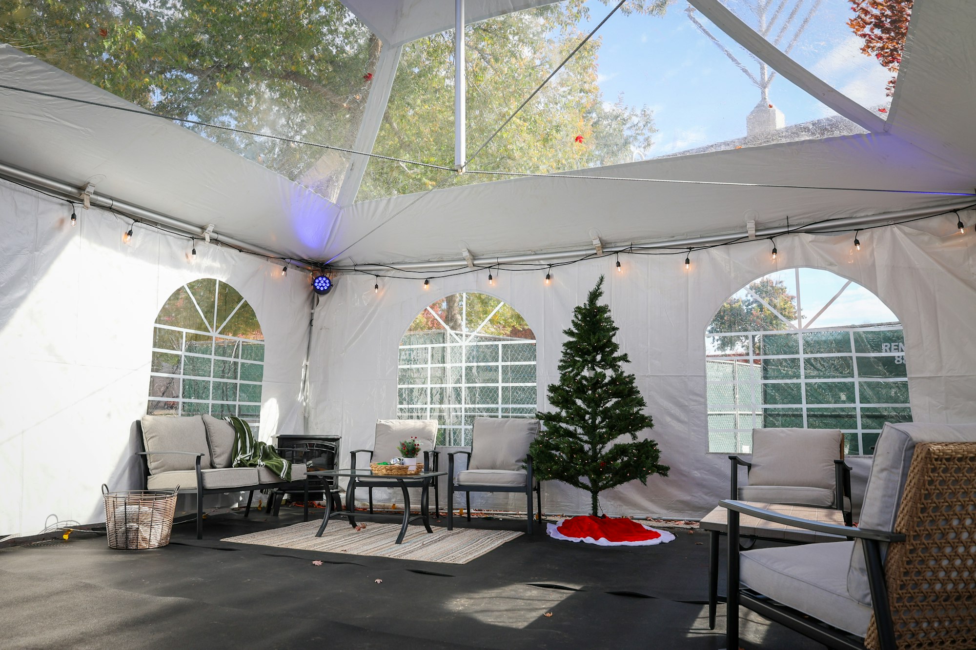 May contain: plant, tree, architecture, building, furniture, indoors, living room, room, fir, chair, and couch