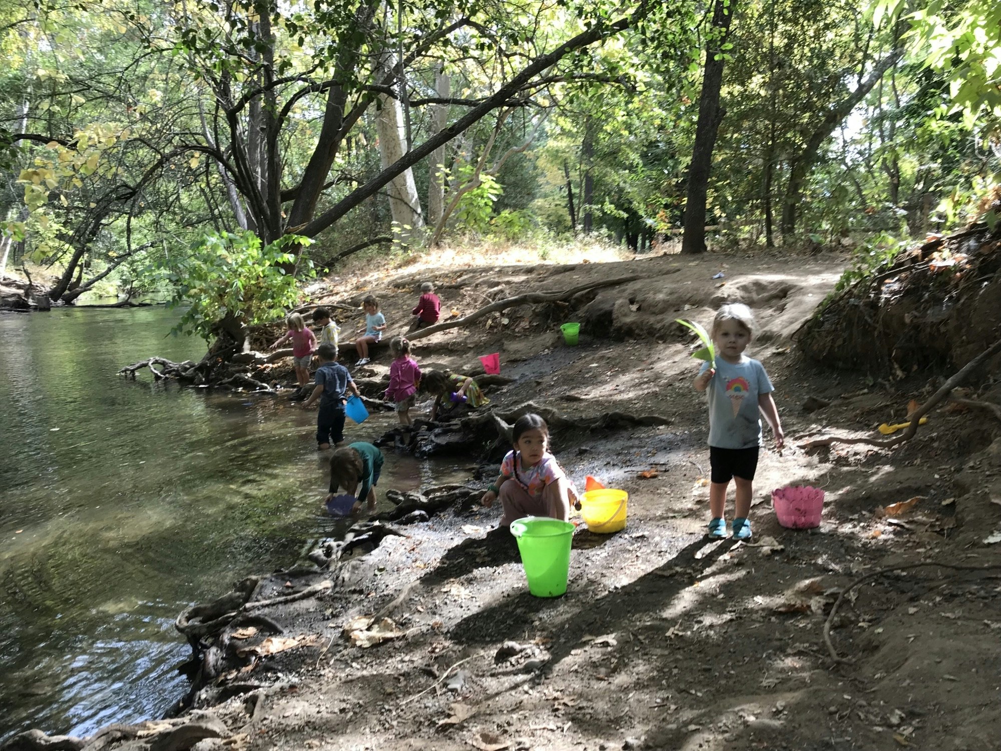 Children playing by a riverbank with buckets, under trees with dappled sunlight.