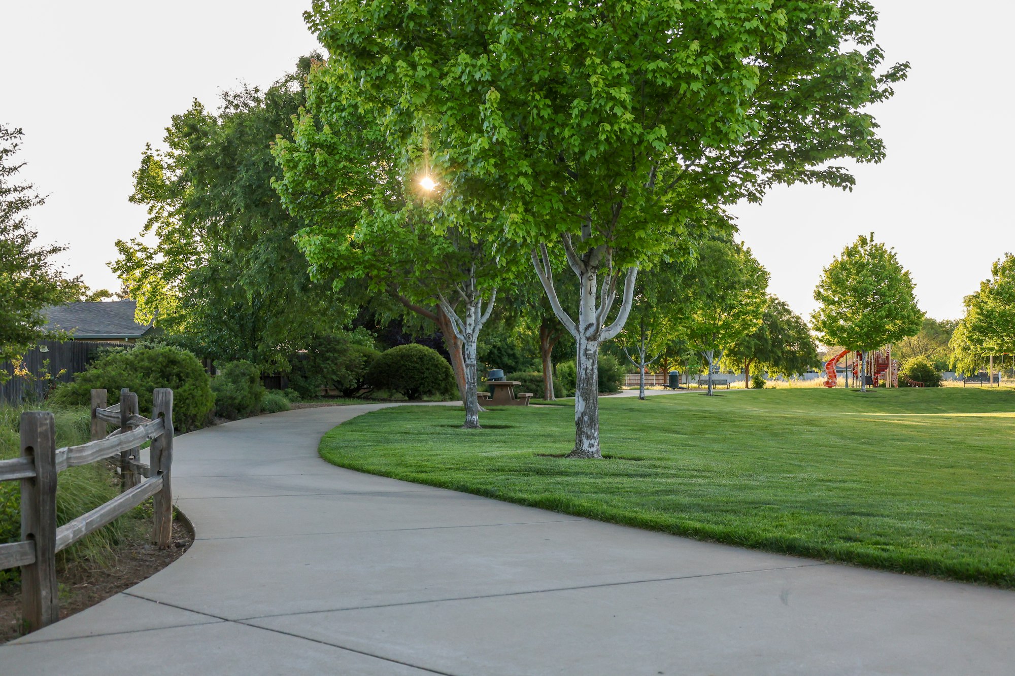 A tranquil park with a winding path, green trees, a bench, and a distant playground on a sunny day.