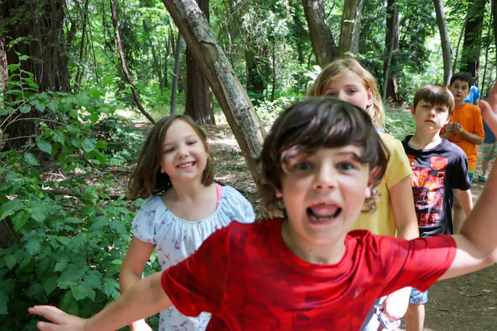 A group of playful kids in a forest, one reaching out towards the camera, others walking behind.